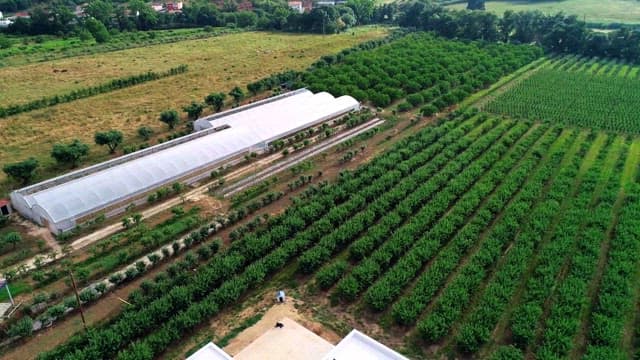 Aerial View of Countryside Farms and Greenhouses