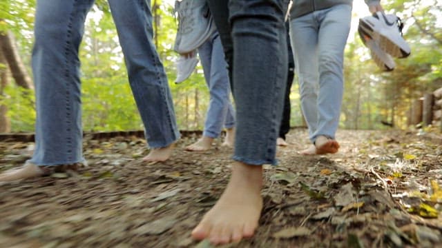 People walking barefoot in forest trail
