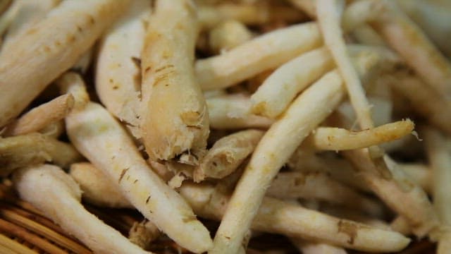 Fresh, well-trimmed deodeok