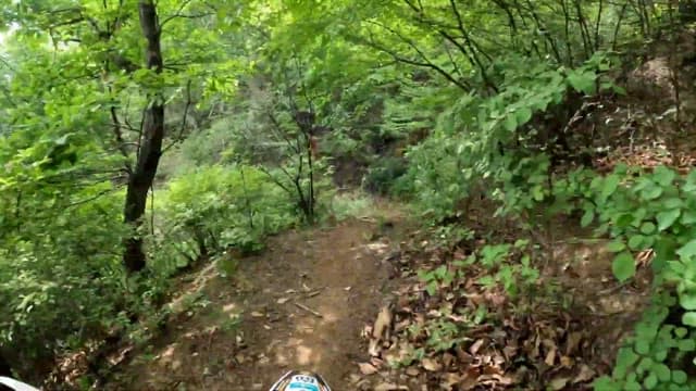 Off-Road Motorcycle Adventure in the Woods