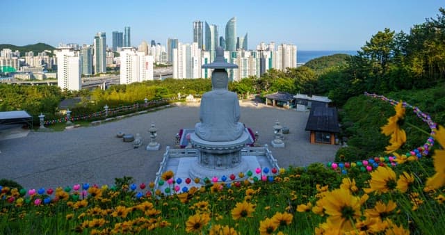 Back of a Buddha statue looking out over a city filled with buildings from day to night