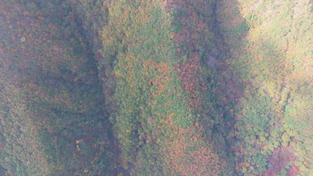 Mountain range with autumn foliage