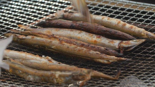 Saury grilled to a golden brown on an outdoor grill