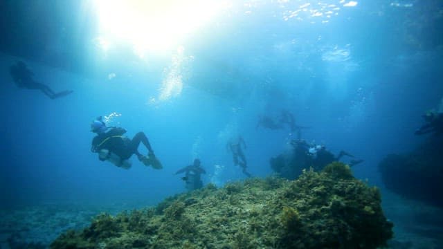 Scuba divers exploring a vibrant coral reef under sunlight