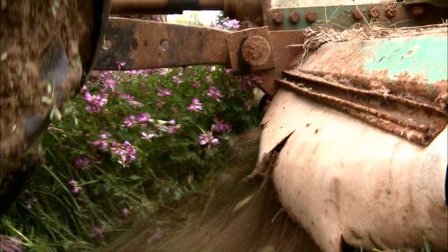 Close-up of Harrowing Machinery in Action