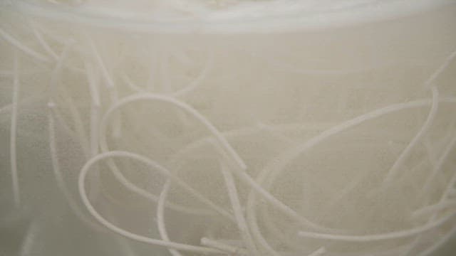 Boiling noodles in a pot