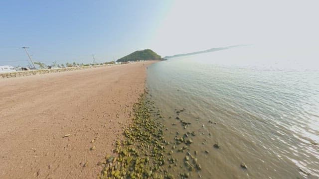 Serene beach with clear blue sea