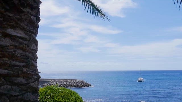 Seaside View with Yacht and Breakwater