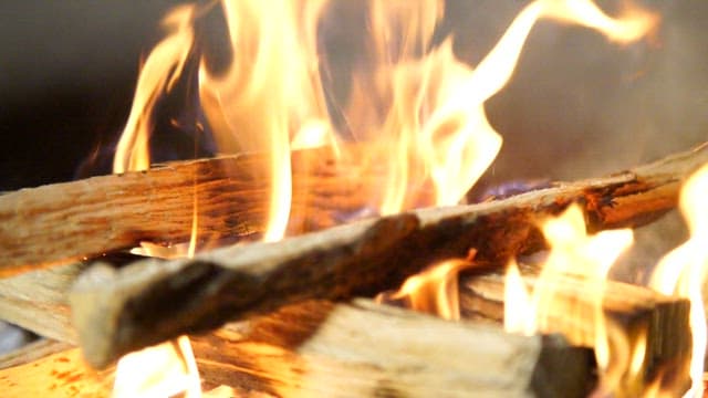 Close-up of burning firewood