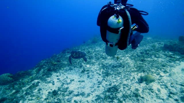 Diver encountering a sea turtle in the ocean
