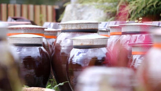 Pink mandrake flowers blooming next to the platform for crocks