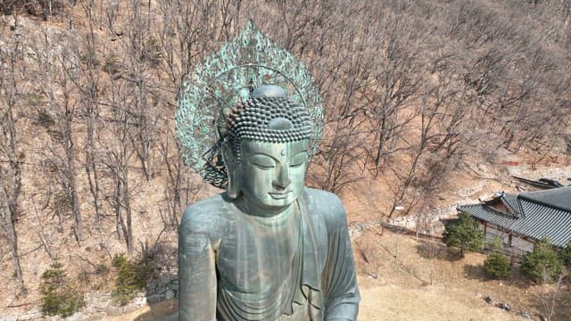 Magnificent Buddha Statue in Harmony with Nature