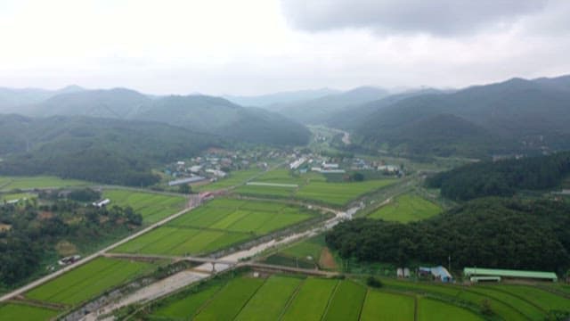 Rural Area with Green Fields under Cloudy Skies