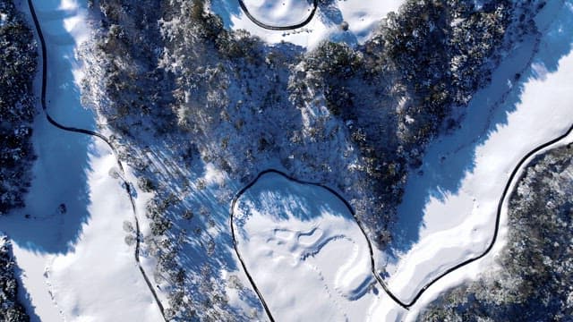 Snow-Covered Trees and Curving Mountain Road