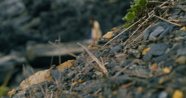 Woman Go Up and Down the Rough Rocks on the Beach