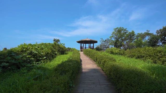 Walkway Leading to a Gazebo in Lush Park