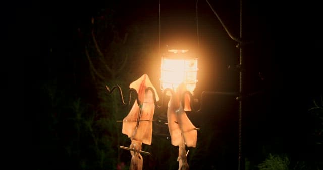 Illuminated Squid Drying at Night