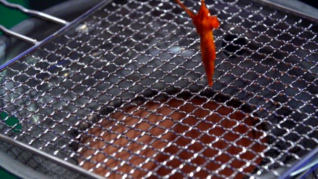 Seasoned Octopus Spread Out on the Grill