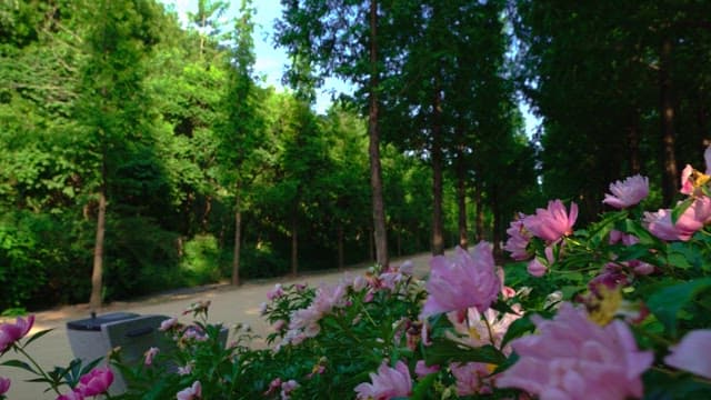Peaceful park path with flowers and greenery in daylight