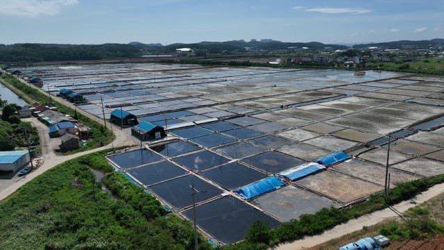 Landscape of Salt Pan in Coastal Village on a Sunny Day