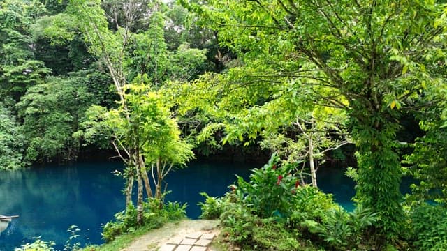 Clear and blue lake in the middle of a rainforest full of greenery