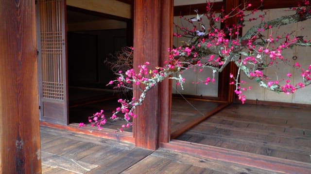 Main hall of a Hanok with a fluttering pink plum blossom branch decoration