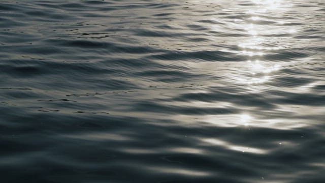 Sunlight Dancing on Gentle Water Waves