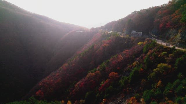 Scenic Mountain Road Amidst Autumn Foliage