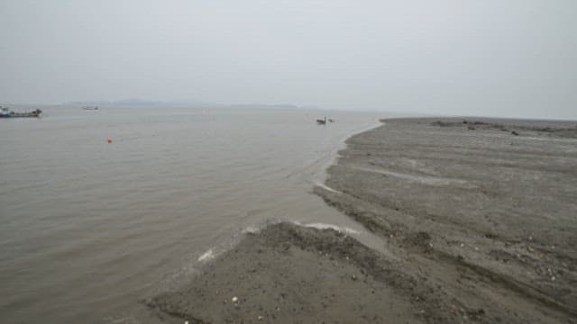 Fishing boats passing near the coastal mudflats where the tide comes in