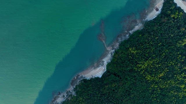 Aerial view of a coastline with lush greenery