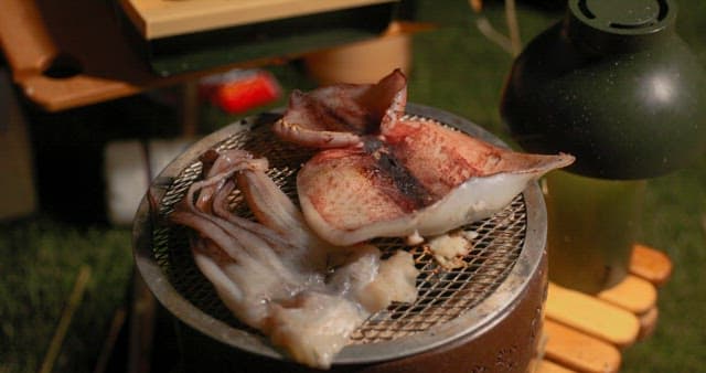 Preparing Squid on a Grill Outdoors