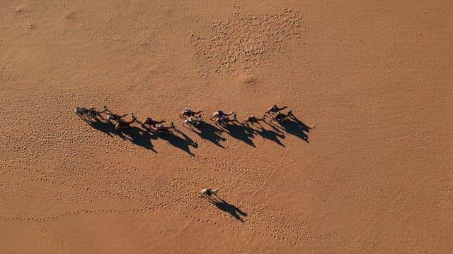 Camel procession crossing the desert