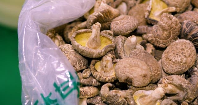 Fresh Assorted Mushrooms in Vinyl