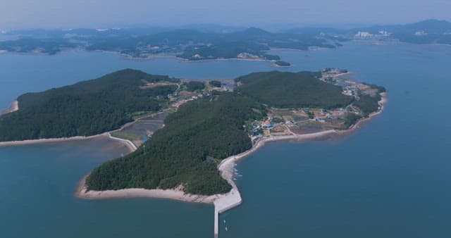 Aerial View of Coastal Villages and Forest on Sunny Day