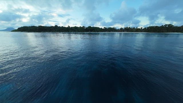 Beach with lush forest and blue sea