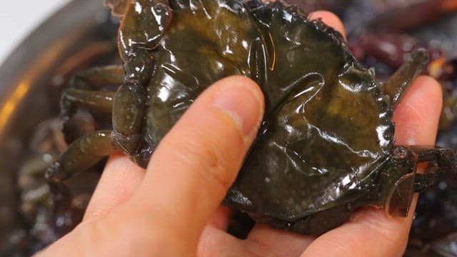 Person holding a fresh soft shell crab