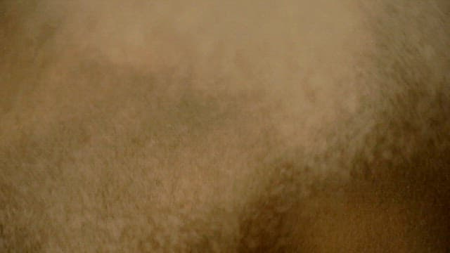 Finely ground powder falling