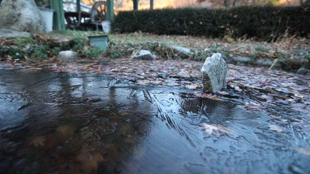 Ice surface of a frozen pond with autumn leaves scattered around