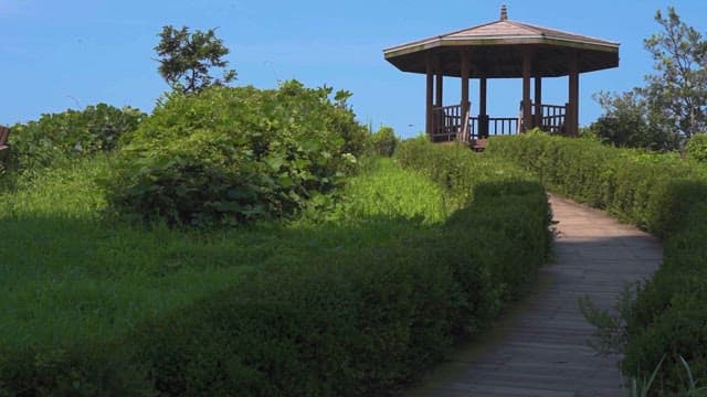 Walkway Leading to a Gazebo in Lush Park