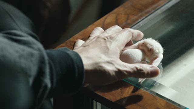 Hand picking up a rabbit doll placed on a glass table