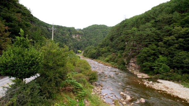 Road along a river in a mountain lush with green trees