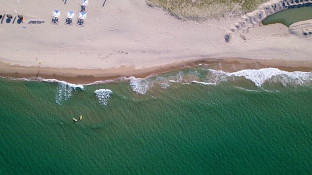 Beachgoers Enjoying the Seaside