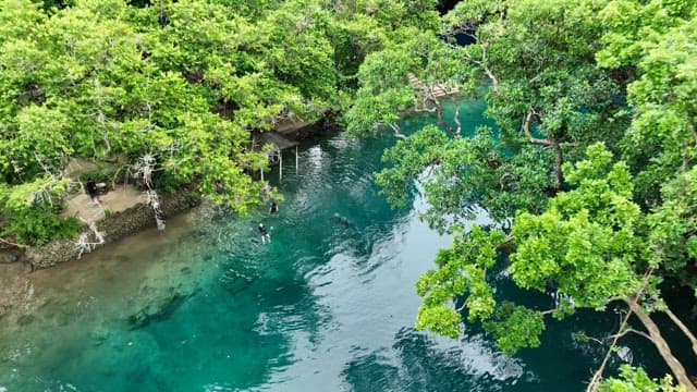 Blue hole in the middle of a rainforest full of greenery