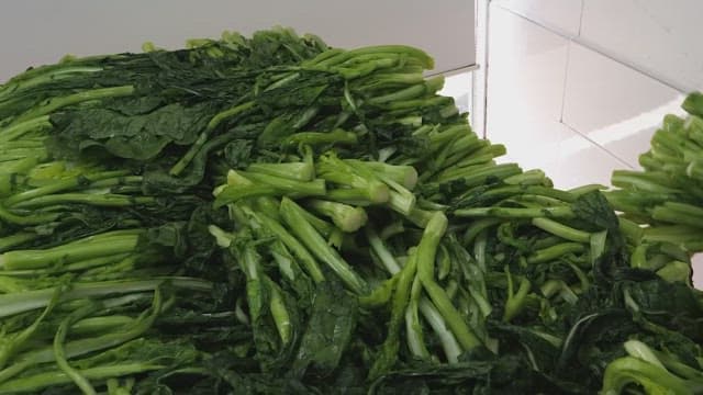 Workers sorting fresh greens in a food processing facility
