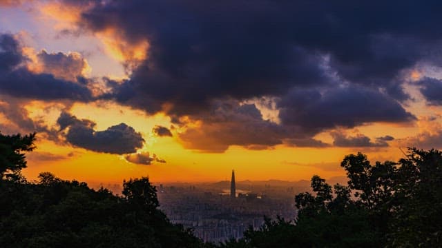 City skyline at sunset viewed from a forested hill