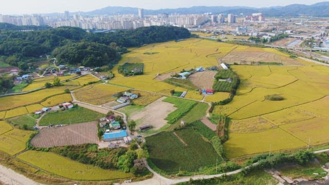 Expansive farmland with city skyline