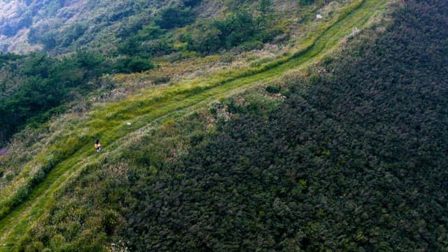 Hiking on a Hillside Filled with Trees