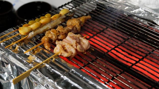 Skewered meat grilling over hot coals