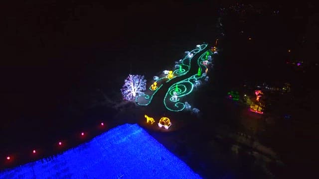 Aerial View of Colorful Illuminated Garden