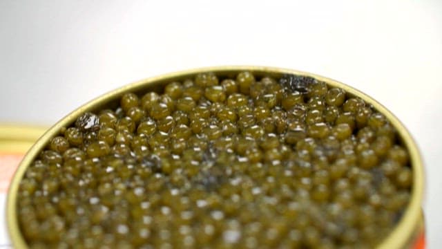 Shimmering Caviar, a Luxury Ingredient in a Can